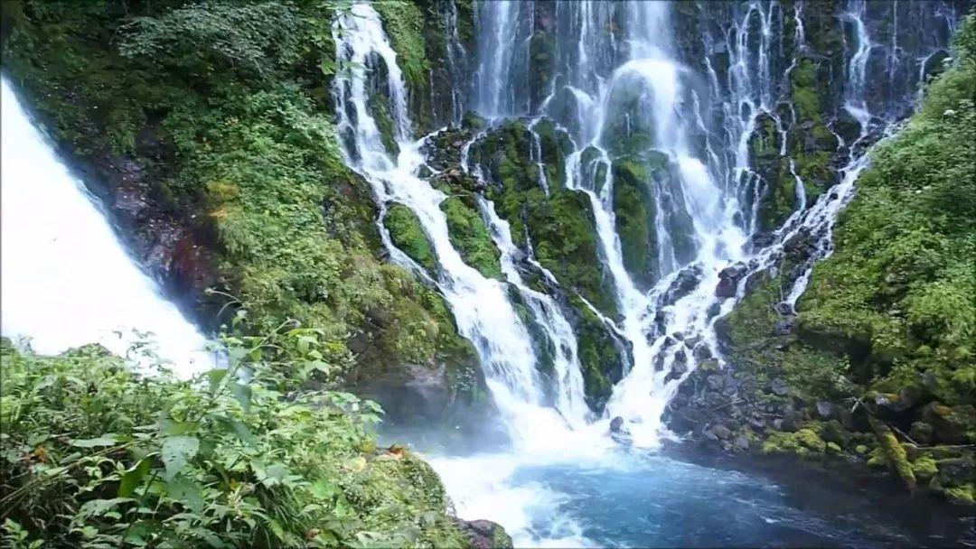 虫虫助手下载