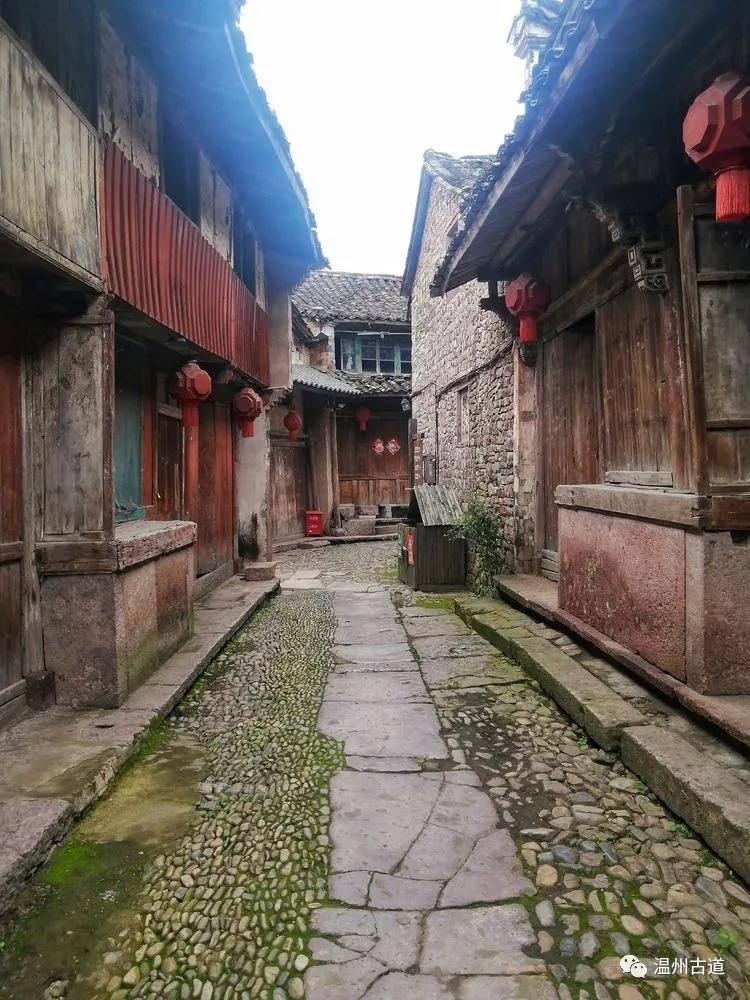 春雨直播app