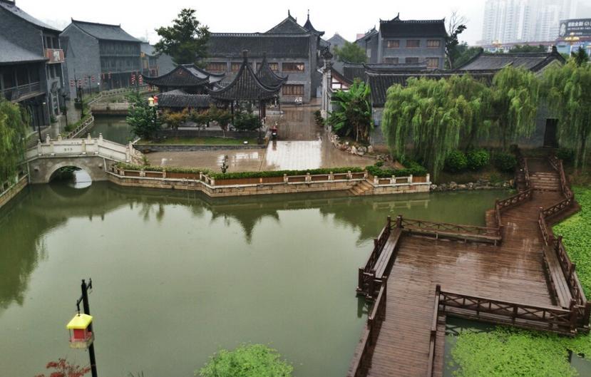 春雨直播app
